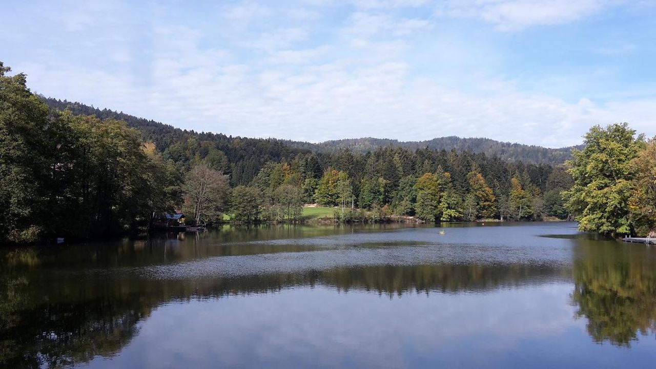 Freudensee Freudensee